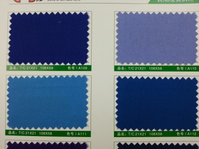 SD-DGYE   滌棉紗卡  T/C  21*21  108*58 細節-11